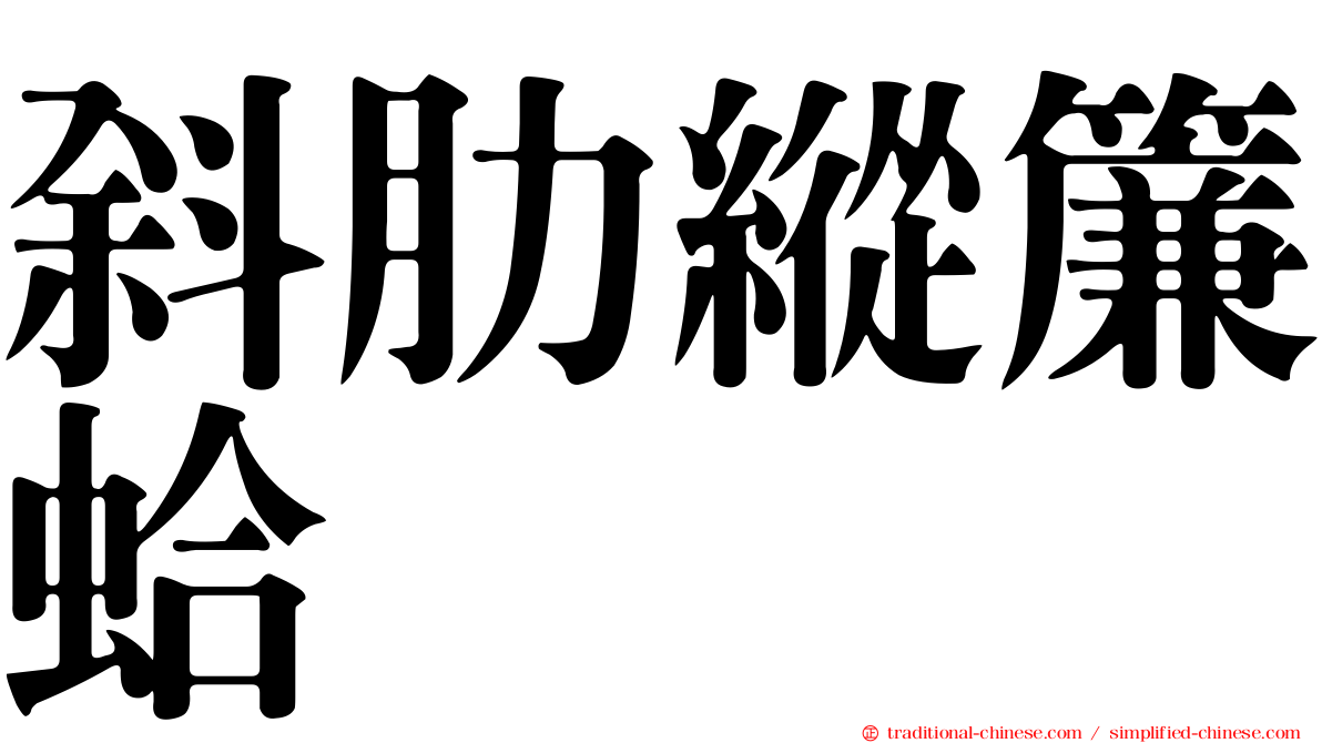 斜肋縱簾蛤