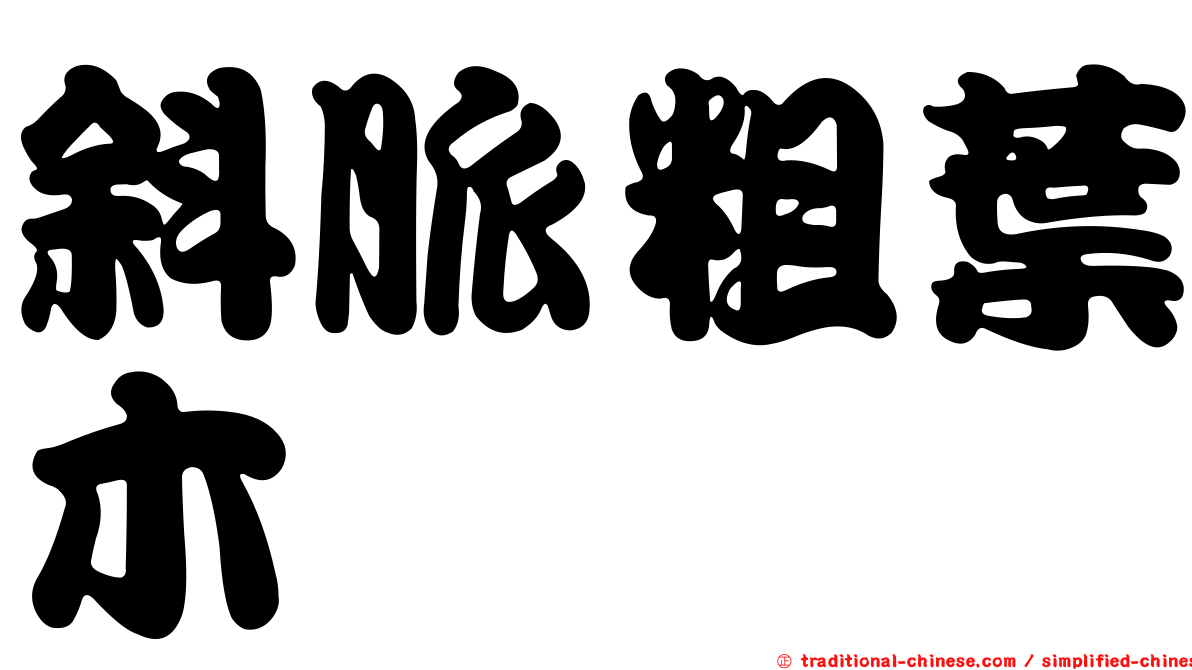 斜脈粗葉木
