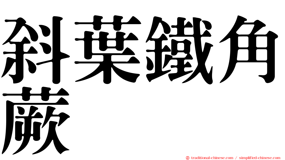 斜葉鐵角蕨