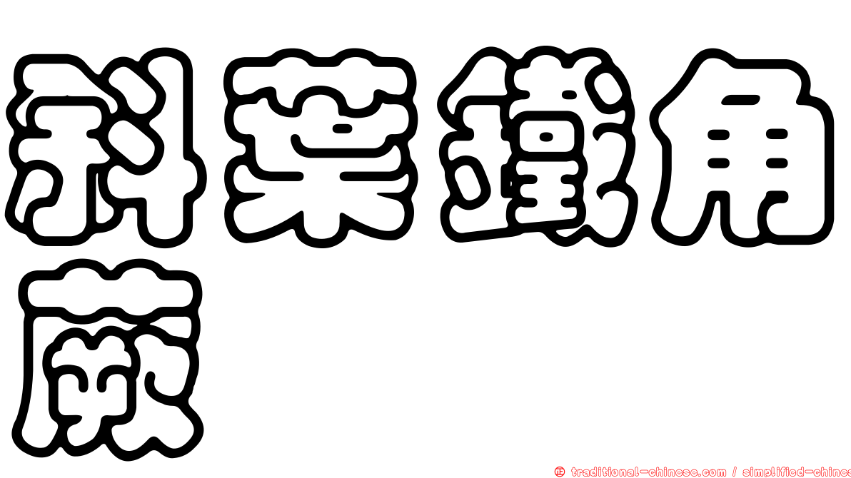 斜葉鐵角蕨