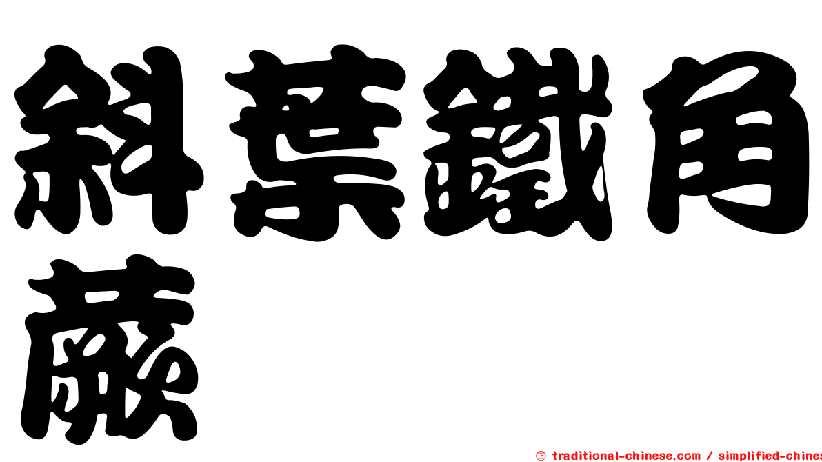 斜葉鐵角蕨