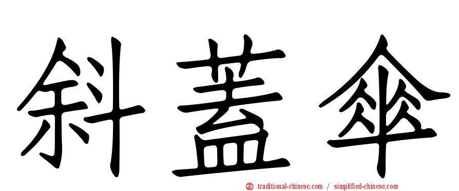 斜蓋傘