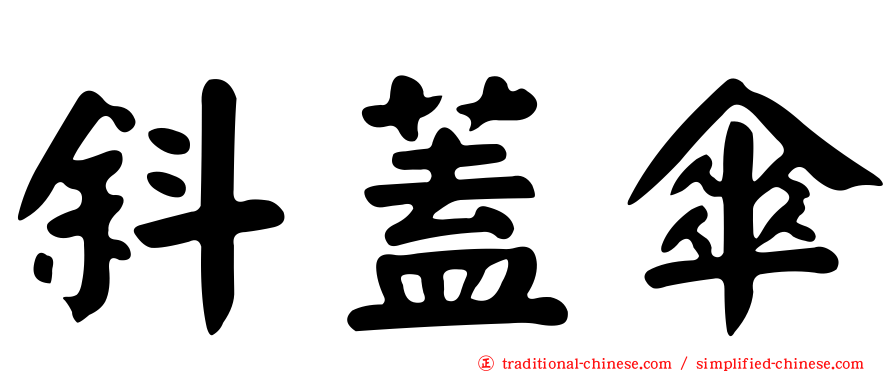 斜蓋傘