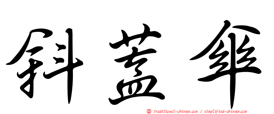 斜蓋傘