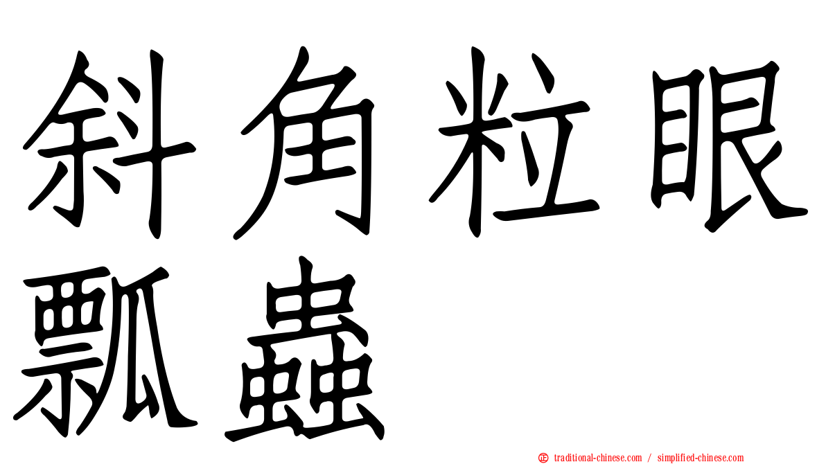 斜角粒眼瓢蟲