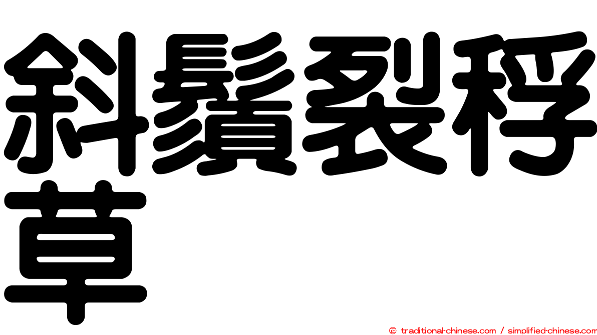 斜鬚裂稃草