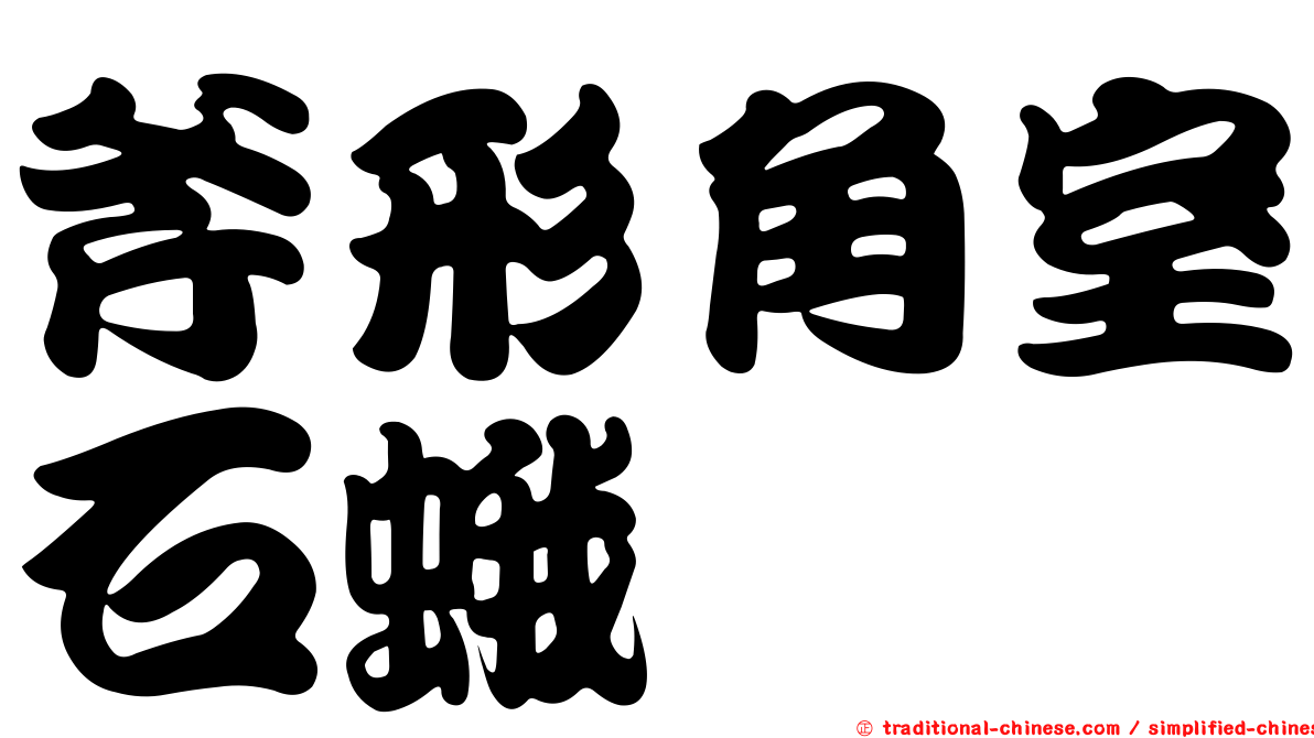 斧形角室石蛾