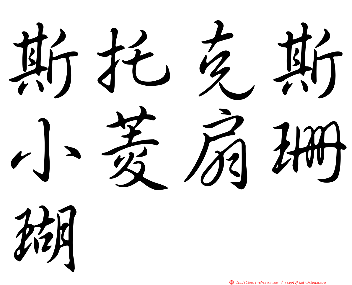 斯托克斯小菱扇珊瑚