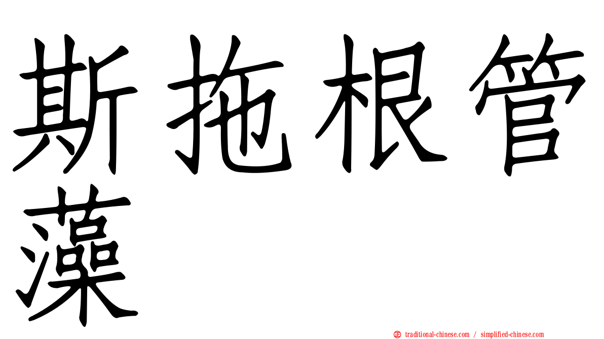 斯拖根管藻