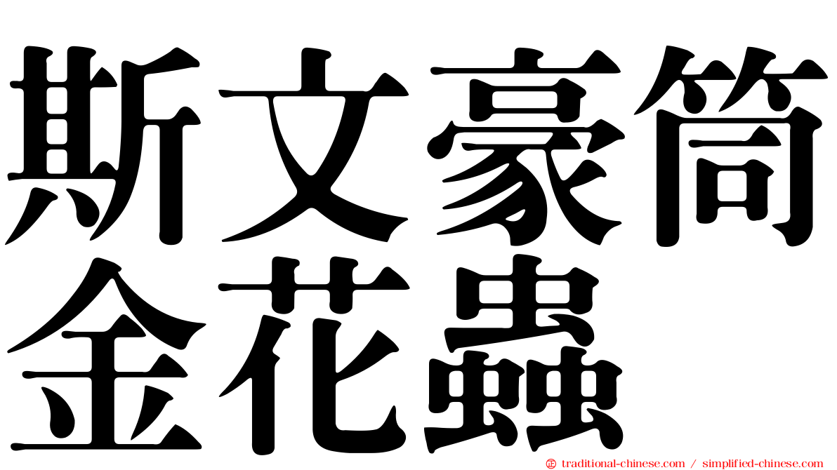 斯文豪筒金花蟲