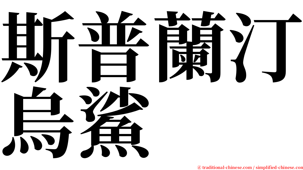 斯普蘭汀烏鯊 serif font