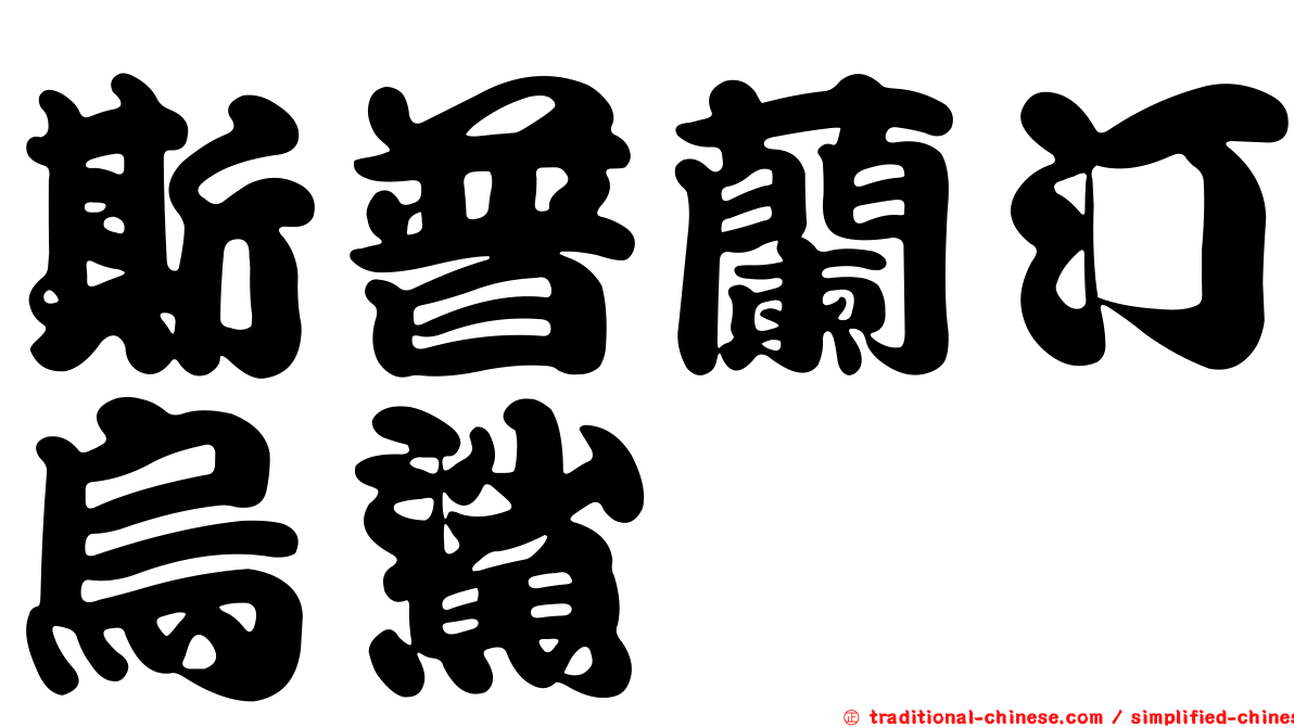 斯普蘭汀烏鯊