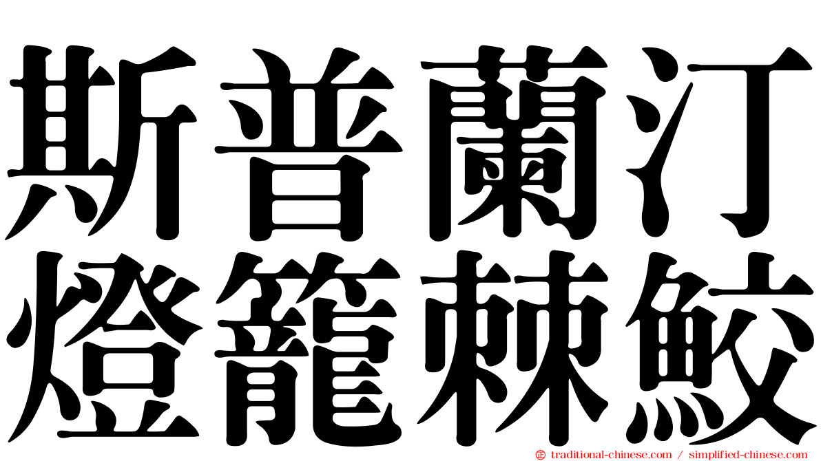 斯普蘭汀燈籠棘鮫