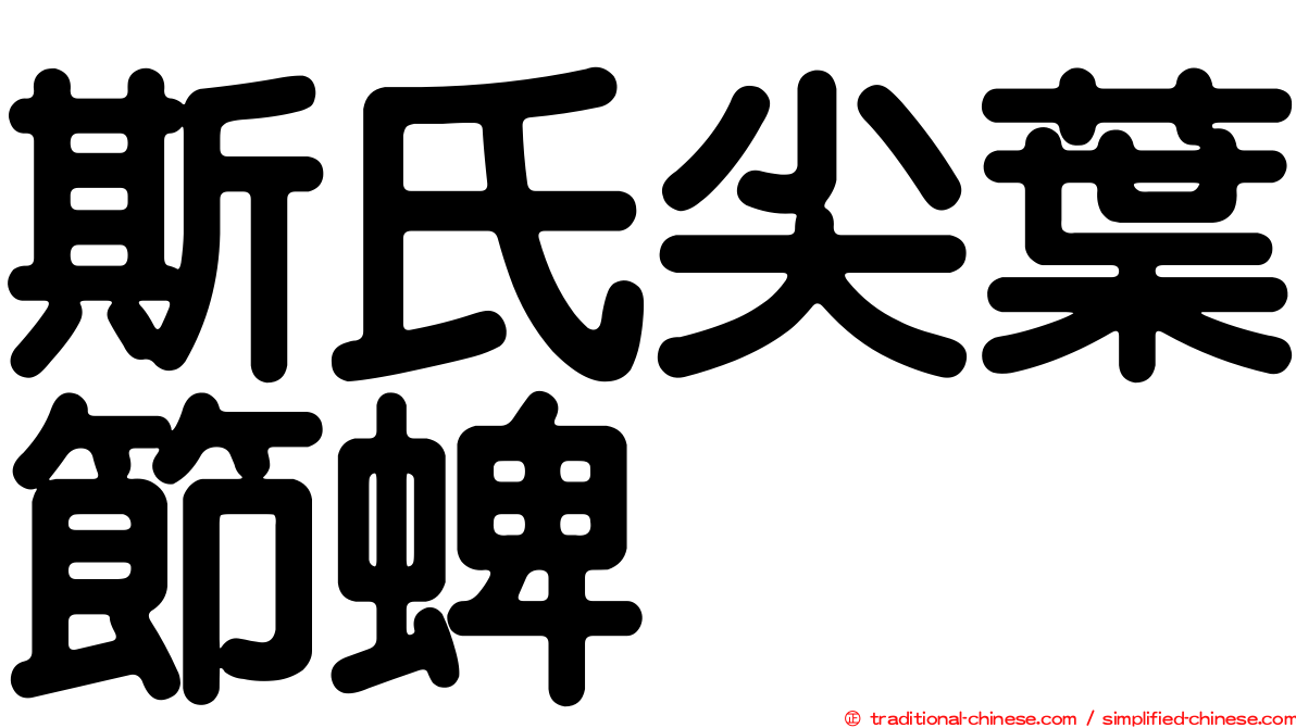 斯氏尖葉節蜱