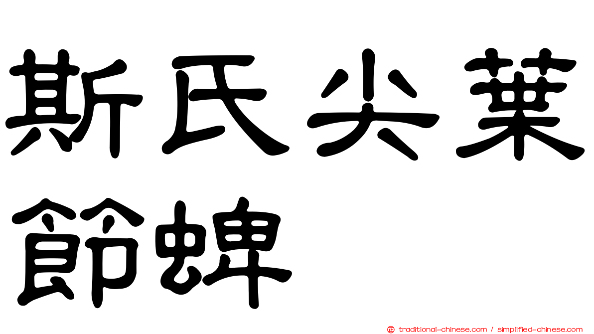 斯氏尖葉節蜱