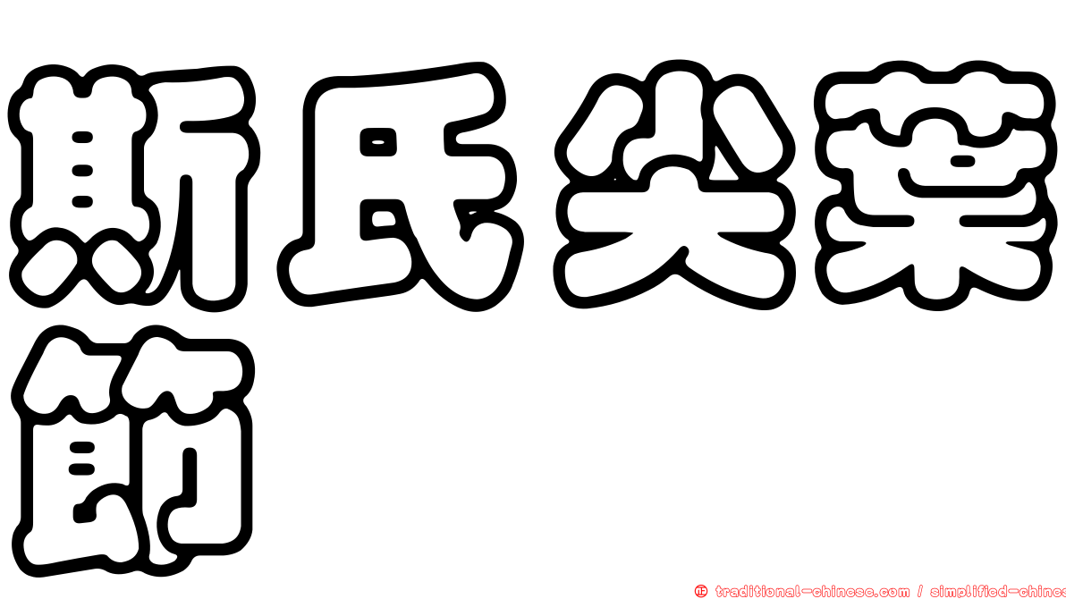 斯氏尖葉節蜱