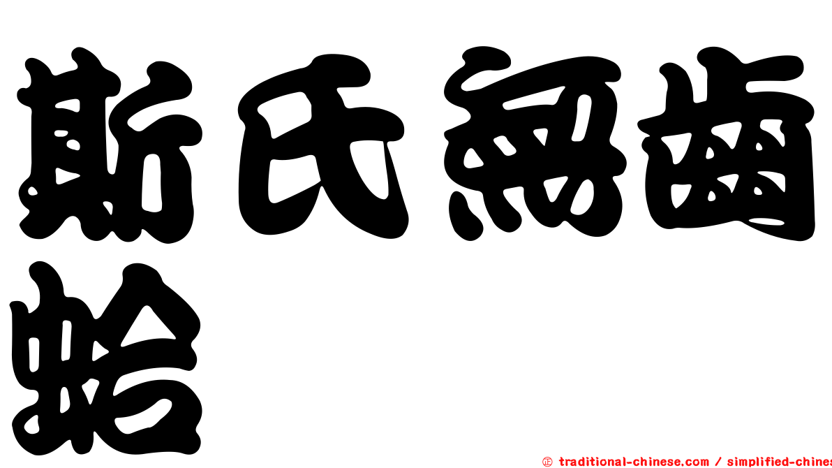 斯氏無齒蛤