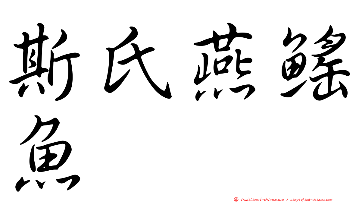 斯氏燕鰩魚