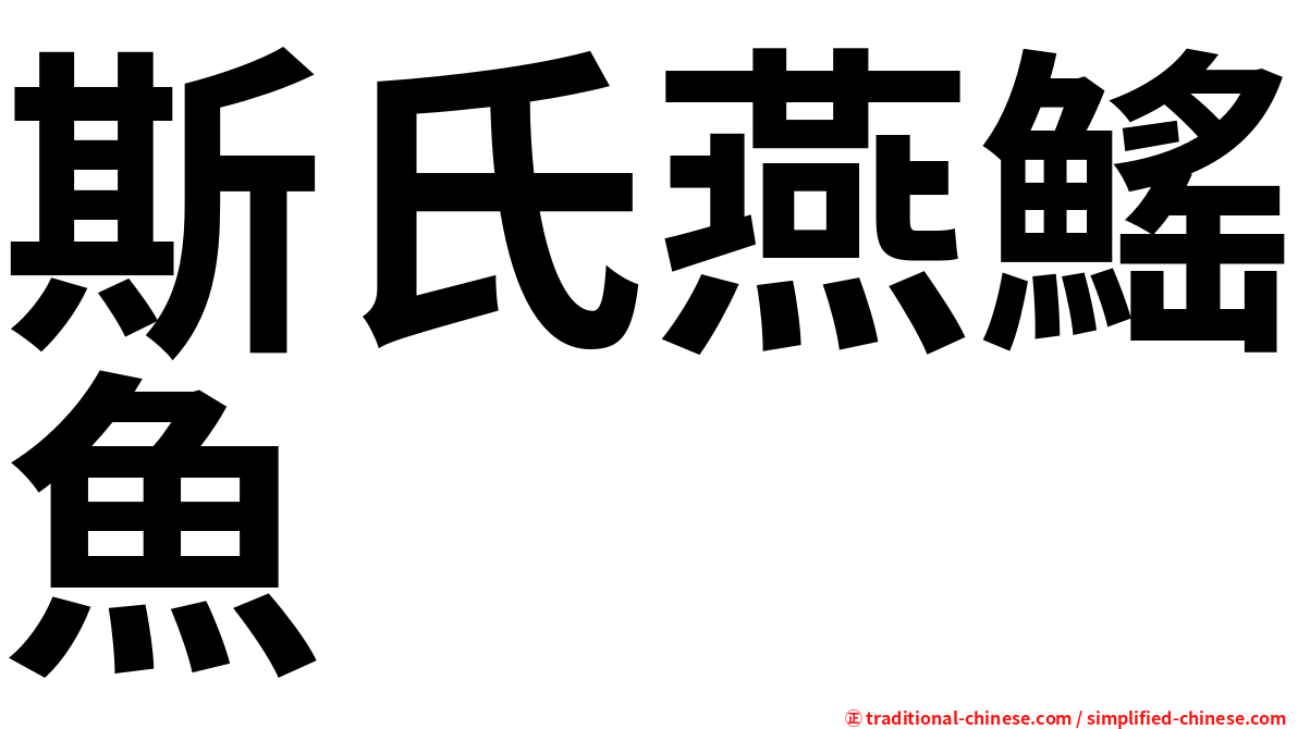 斯氏燕鰩魚
