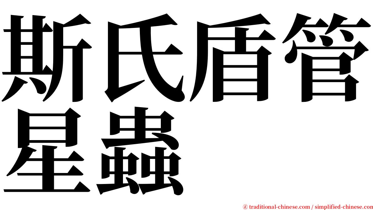 斯氏盾管星蟲 serif font