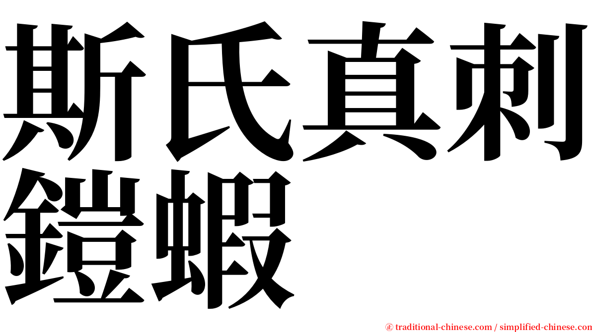 斯氏真刺鎧蝦 serif font