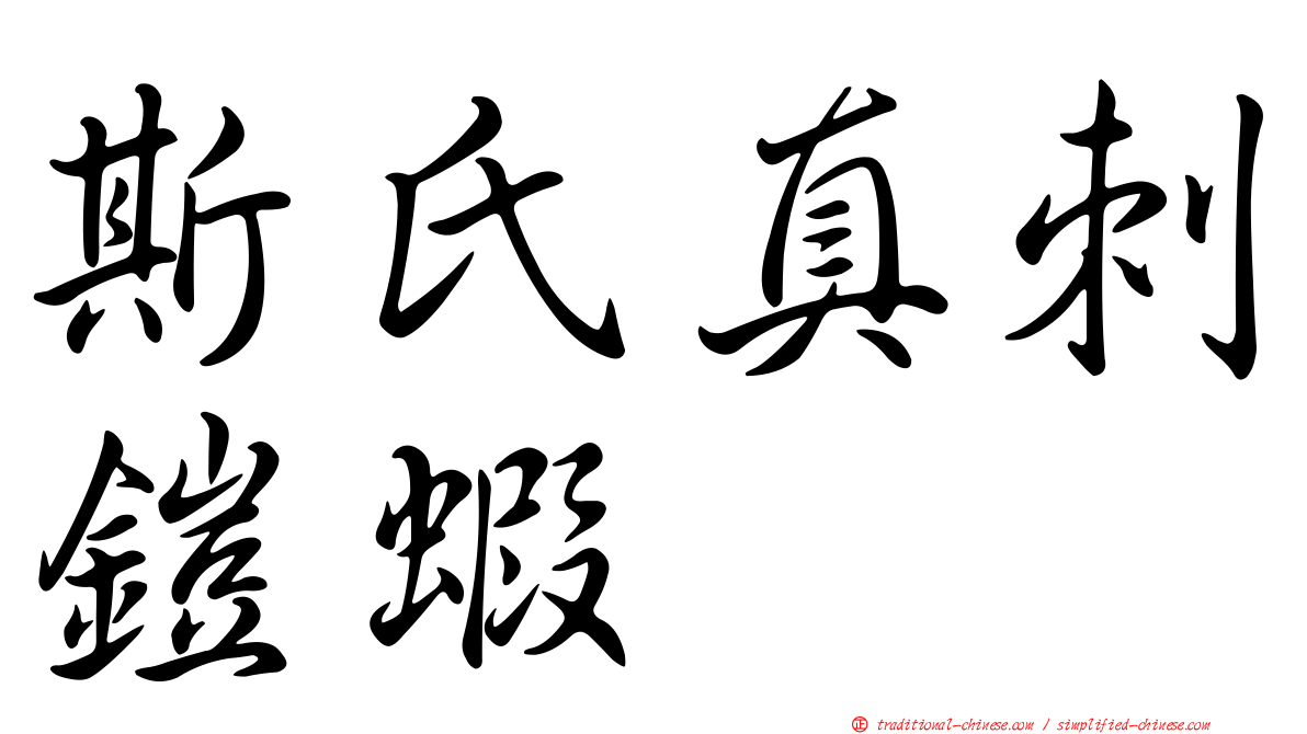 斯氏真刺鎧蝦