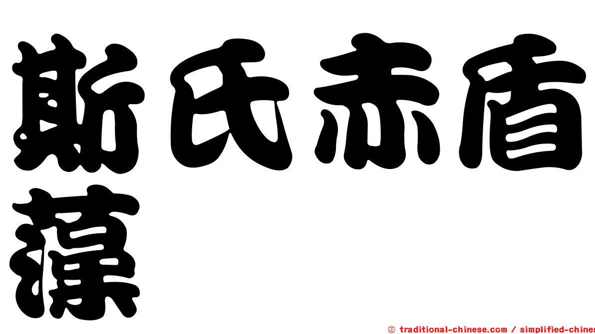 斯氏赤盾藻
