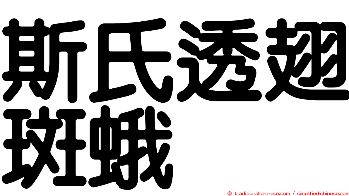 斯氏透翅斑蛾