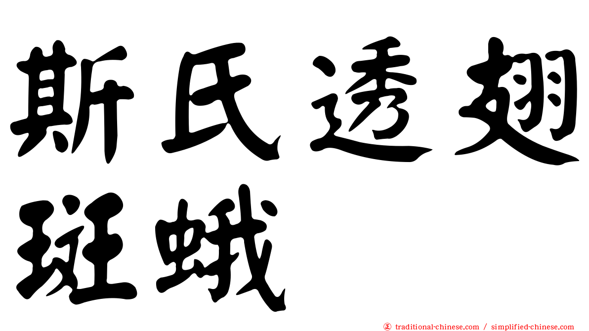 斯氏透翅斑蛾