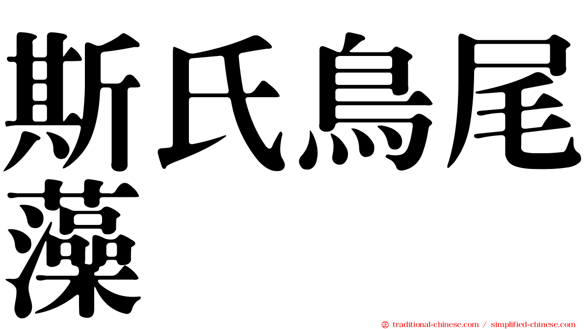 斯氏鳥尾藻