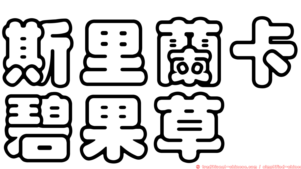 斯里蘭卡碧果草