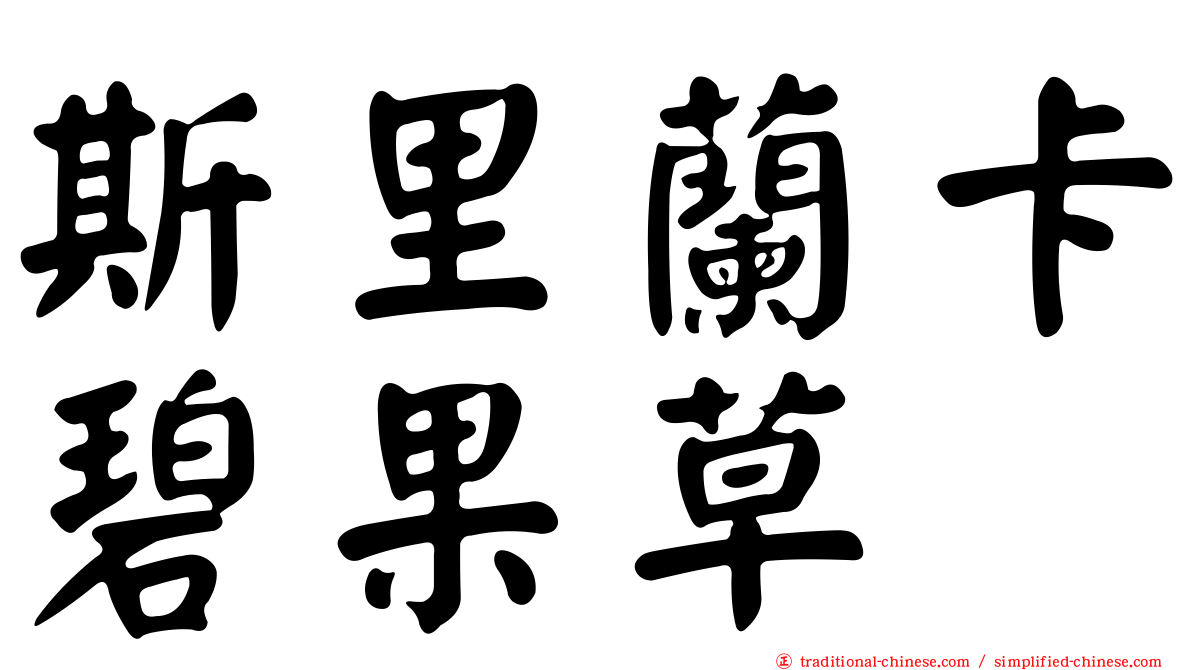 斯里蘭卡碧果草