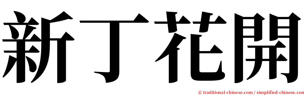新丁花開 serif font