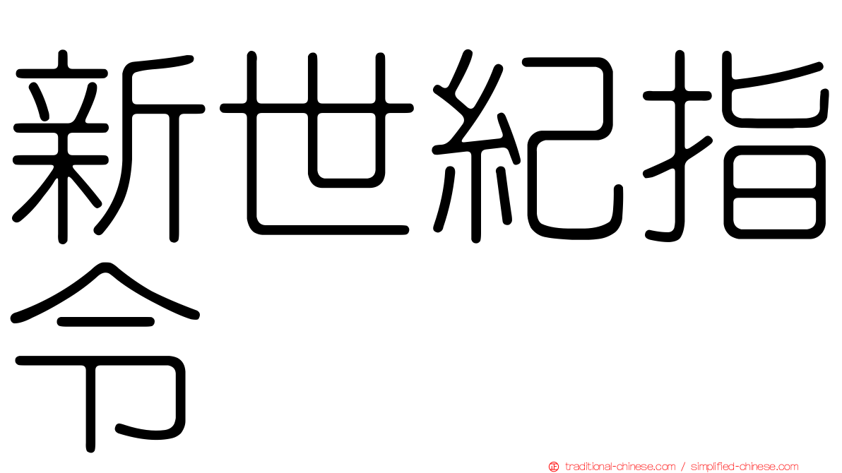 新世紀指令