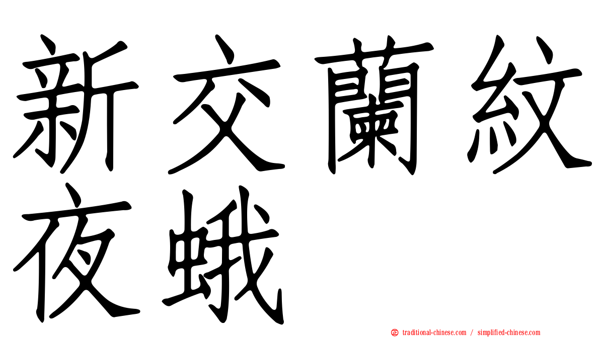 新交蘭紋夜蛾