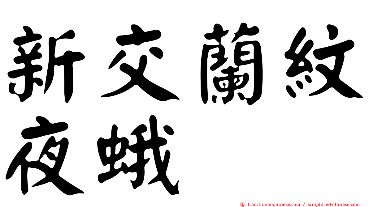 新交蘭紋夜蛾