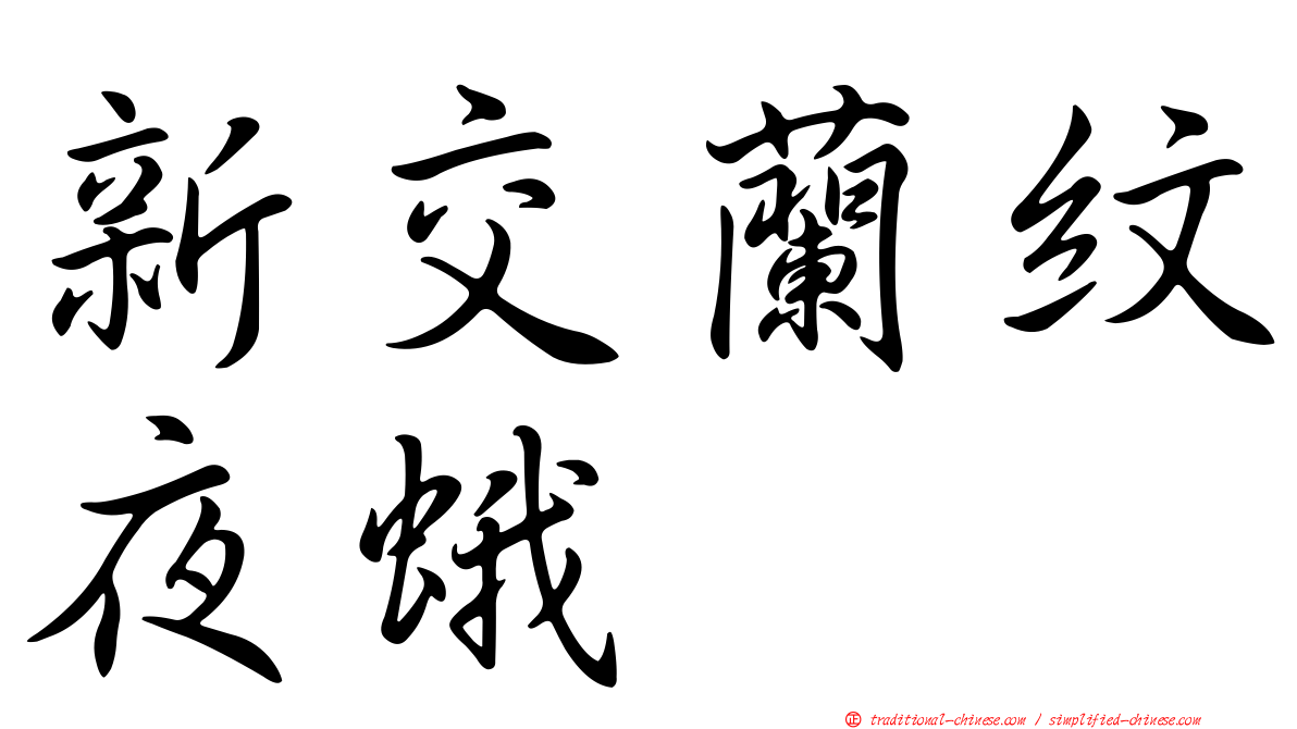 新交蘭紋夜蛾
