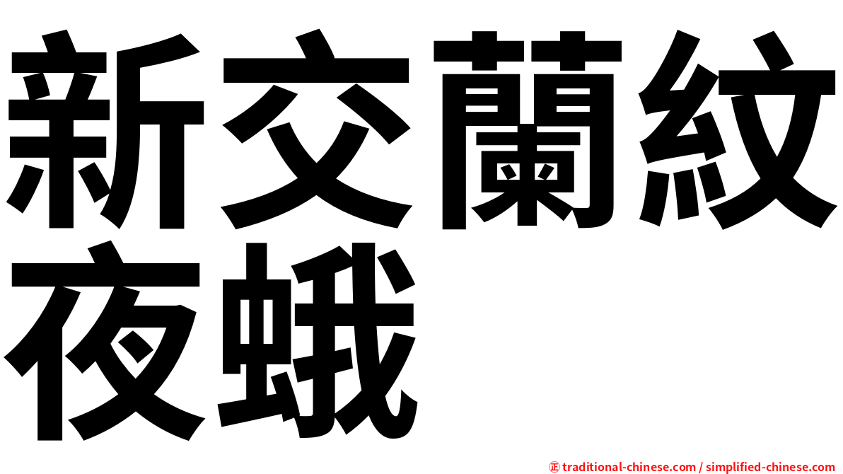 新交蘭紋夜蛾
