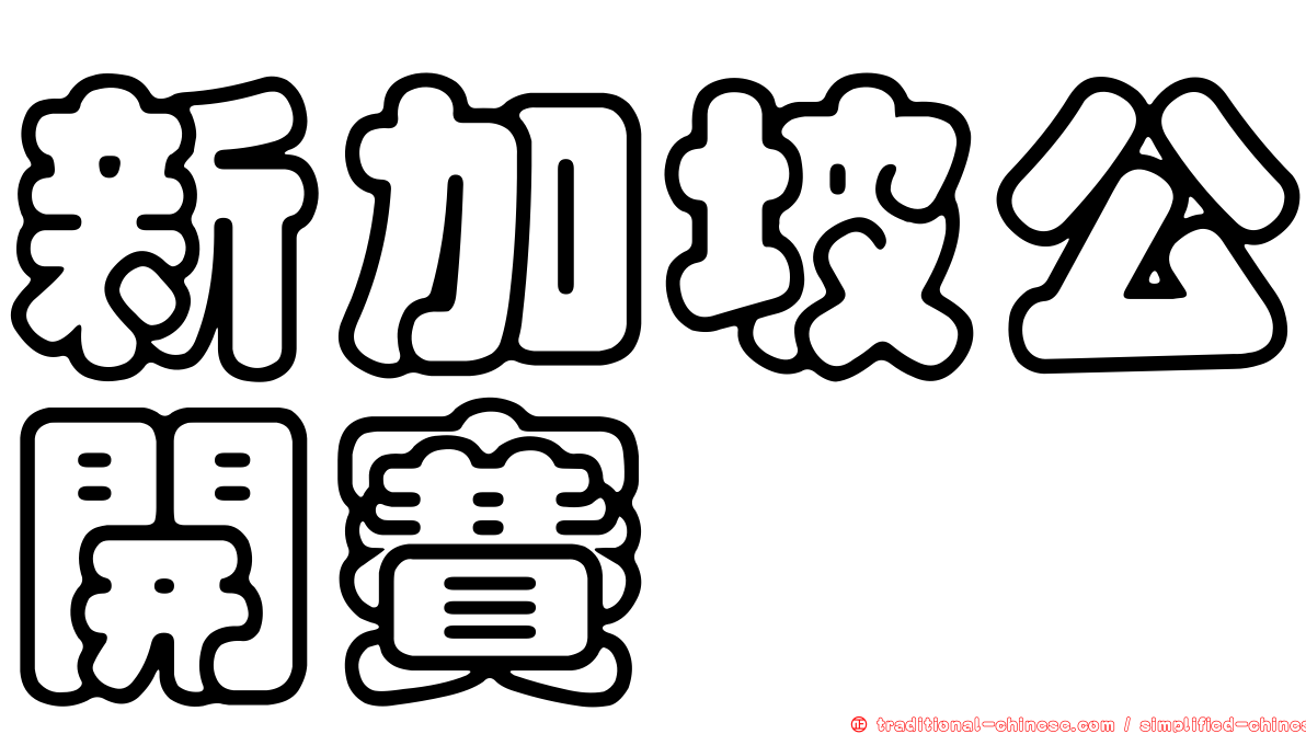新加坡公開賽