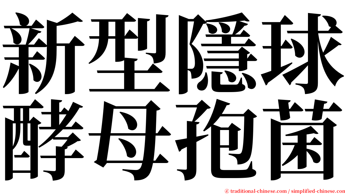 新型隱球酵母孢菌 serif font