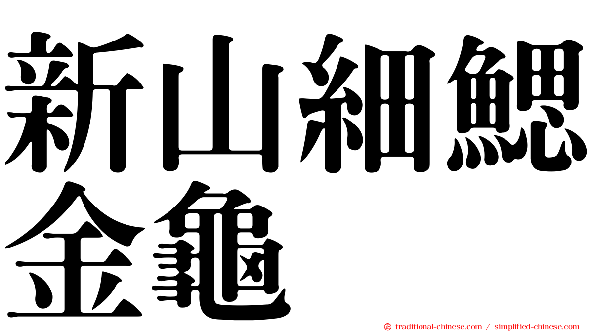 新山細鰓金龜