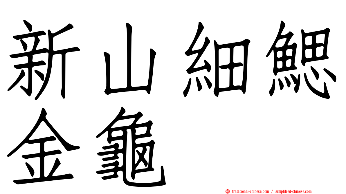新山細鰓金龜
