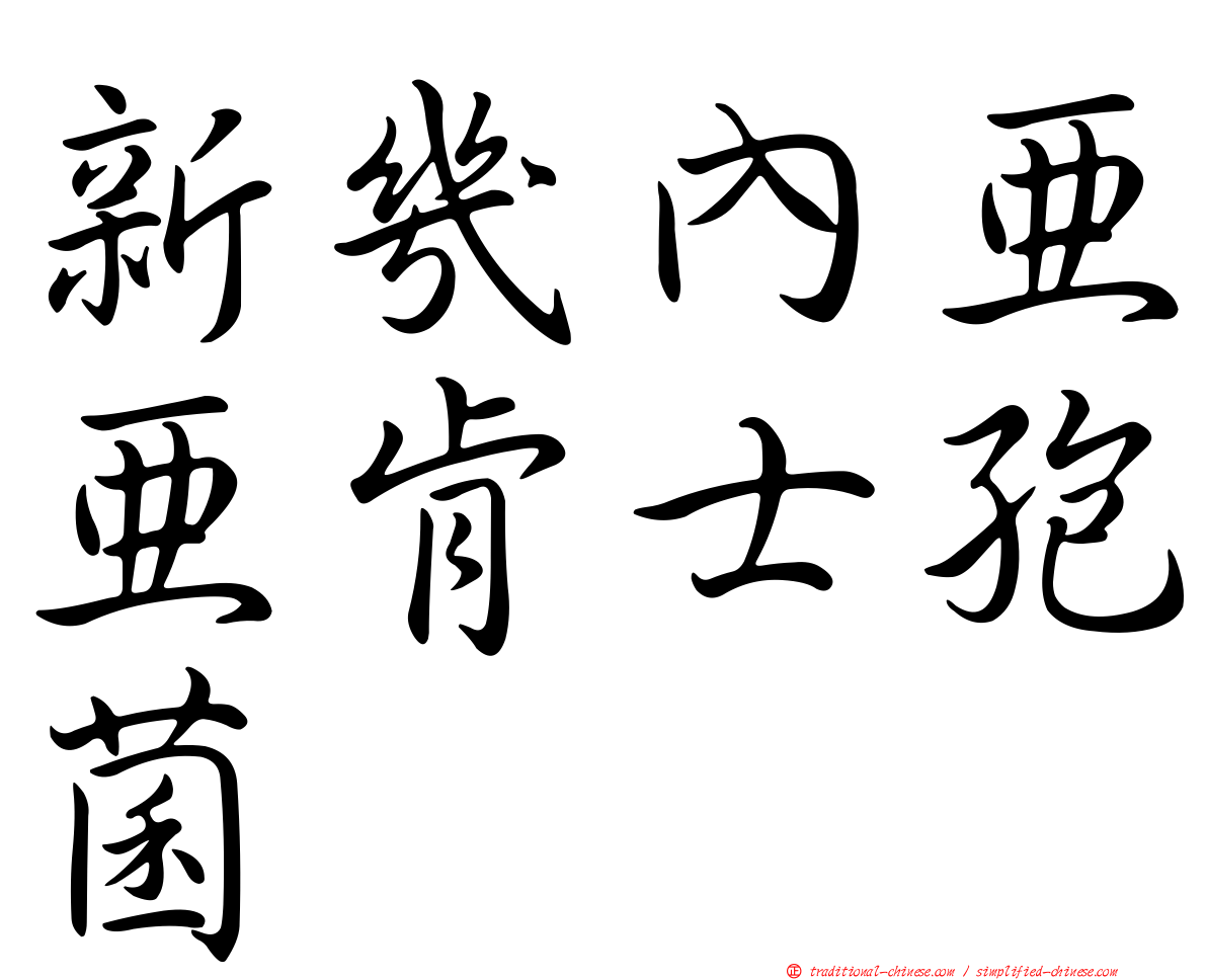 新幾內亞亞肯士孢菌