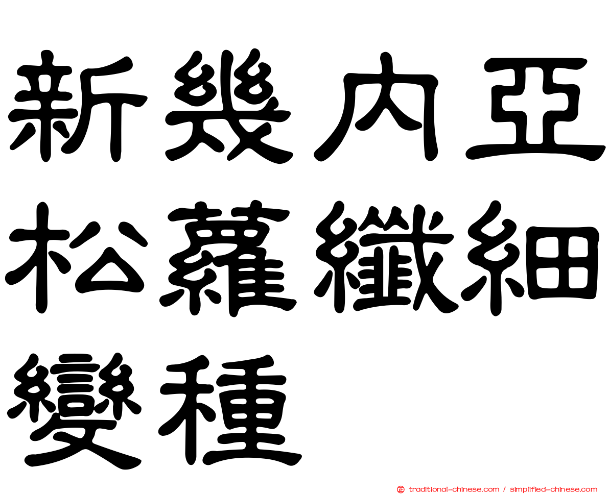 新幾內亞松蘿纖細變種