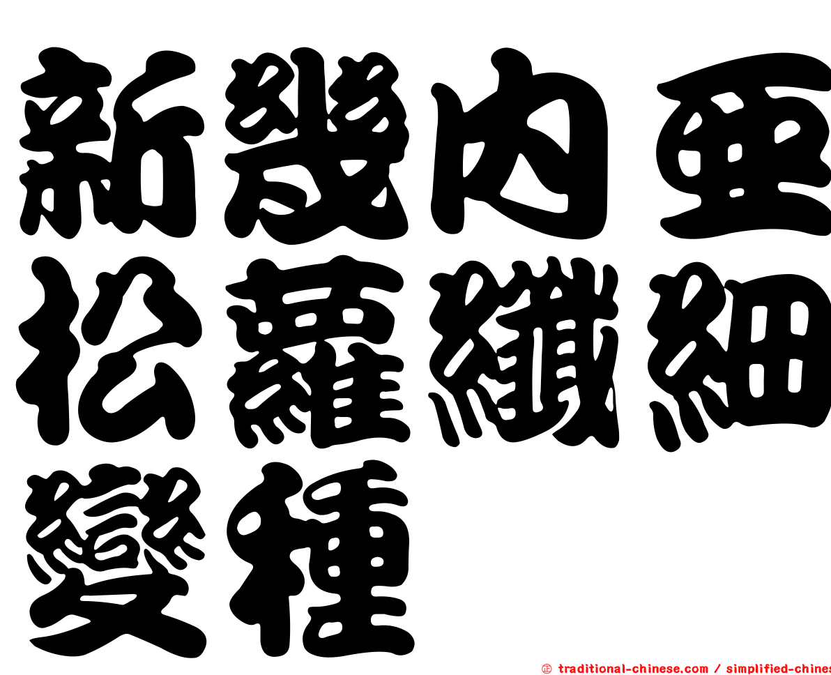 新幾內亞松蘿纖細變種