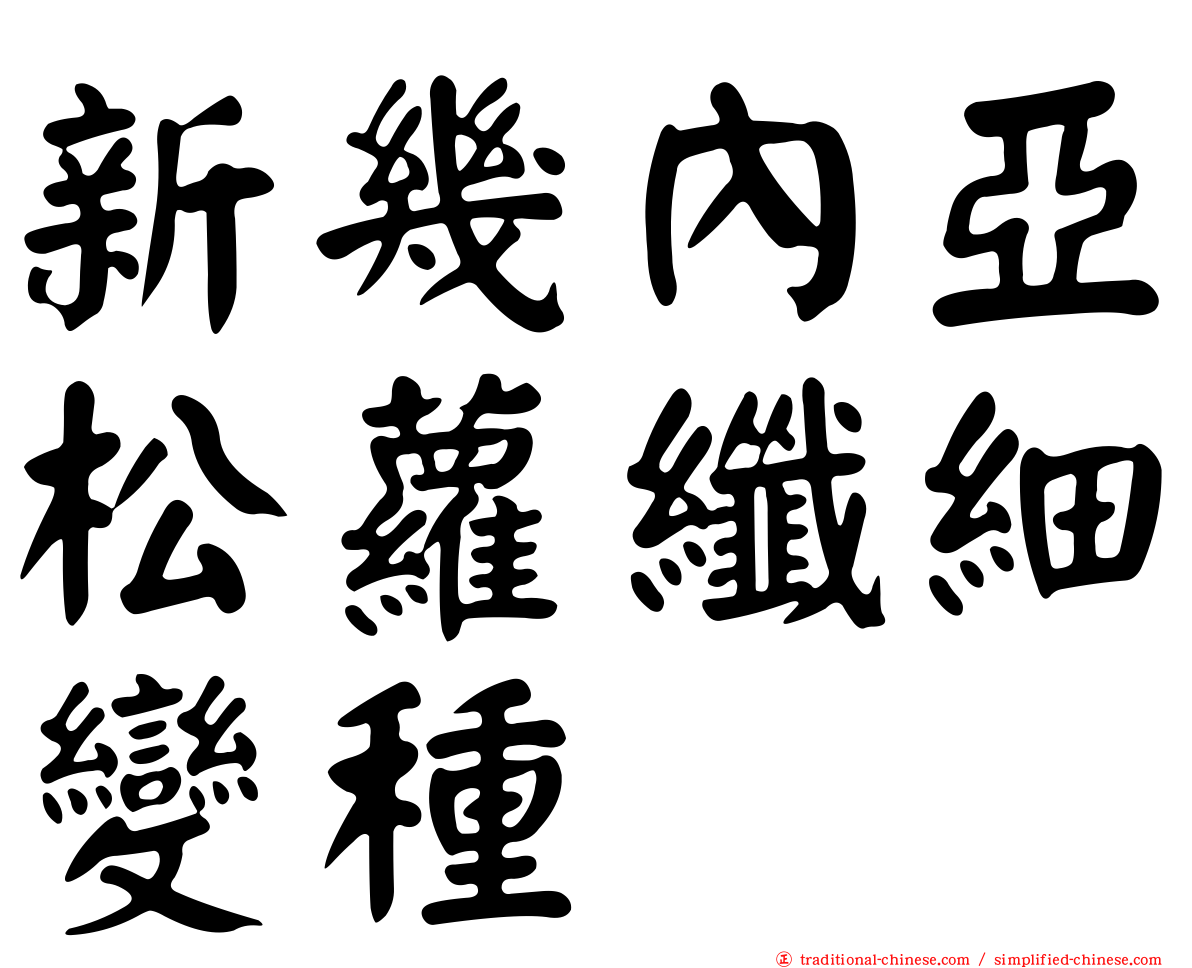 新幾內亞松蘿纖細變種