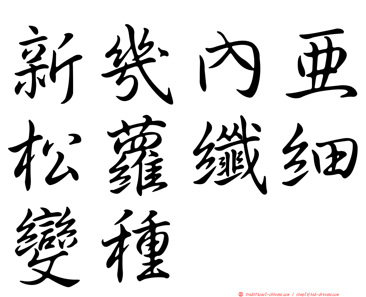 新幾內亞松蘿纖細變種