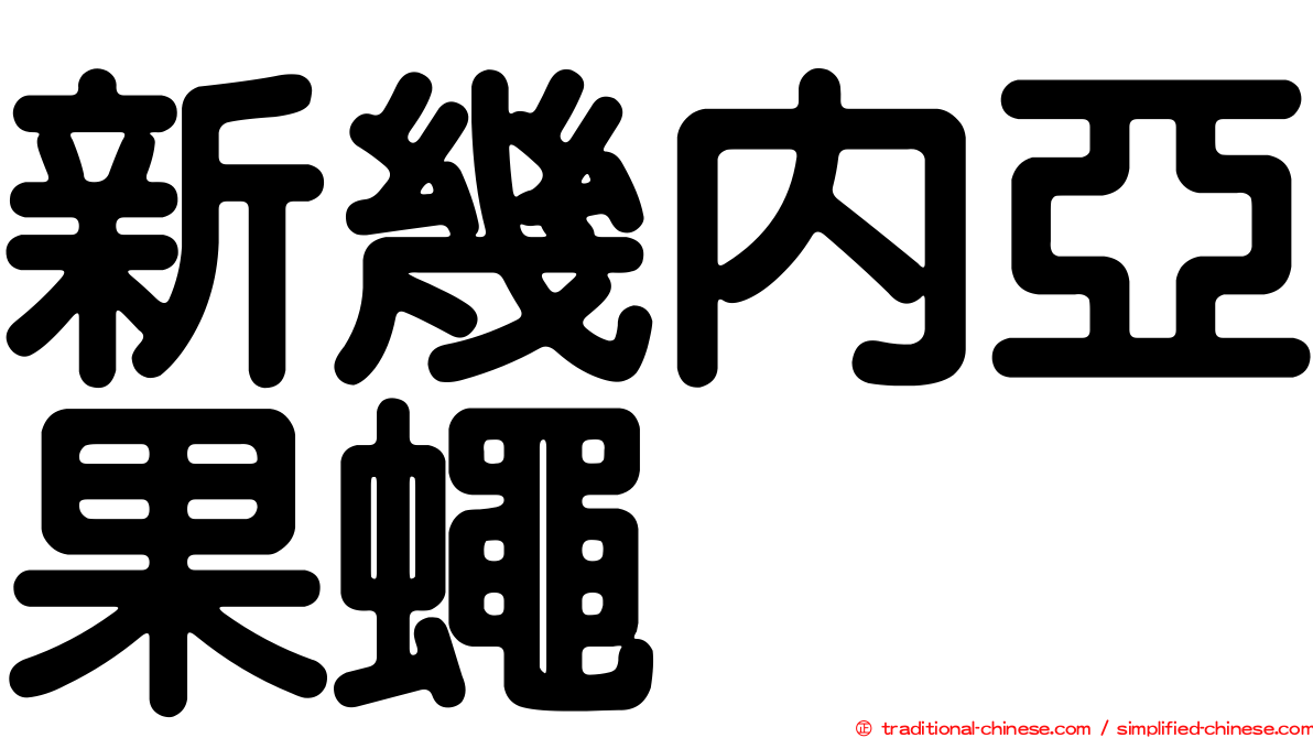 新幾內亞果蠅