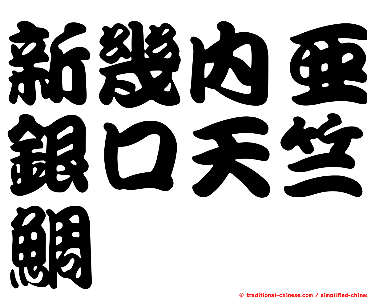 新幾內亞銀口天竺鯛