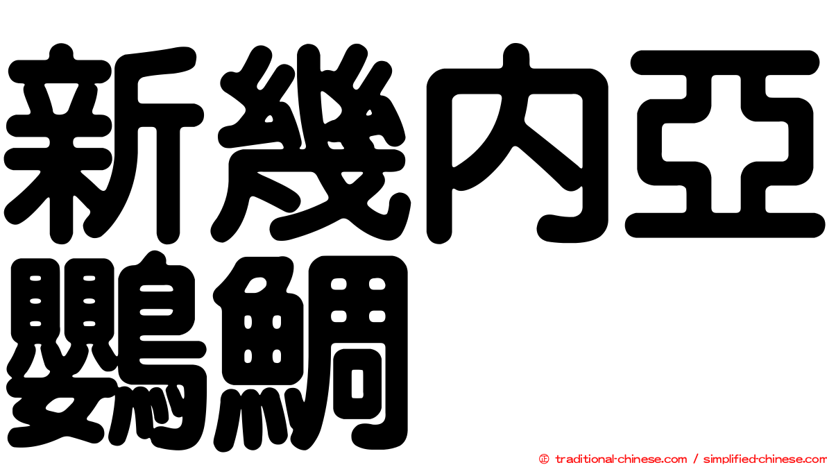 新幾內亞鸚鯛